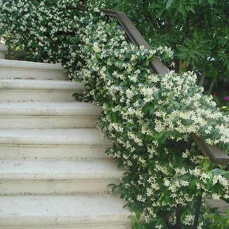 Icirliev Alacati
